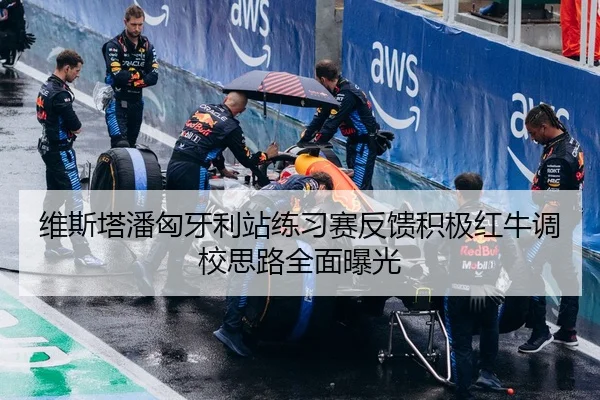 维斯塔潘匈牙利站练习赛反馈积极红牛调校思路全面曝光