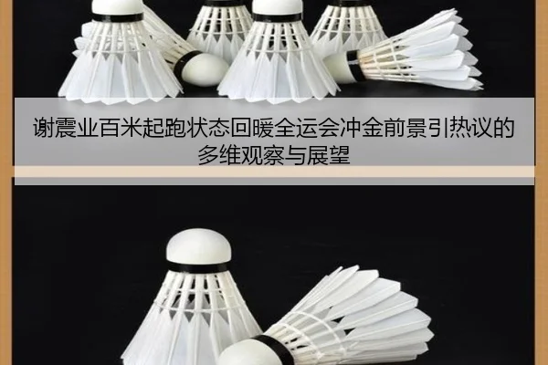谢震业百米起跑状态回暖全运会冲金前景引热议的多维观察与展望